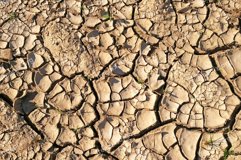 Dry Soil Drought Dehydrated Shriveled From Withered Earth