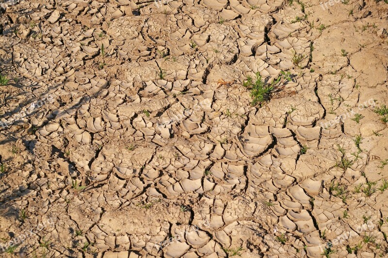 Dry Soil Drought Dehydrated Shriveled From Withered Earth