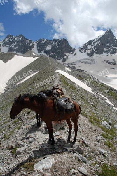 Russia Elbrus Mountain Mountain Horse Horse Karachi Free Photos