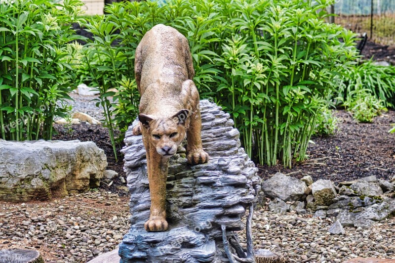 Mountain Lion Sculpture Art Mountain Lion Sculpture Lion