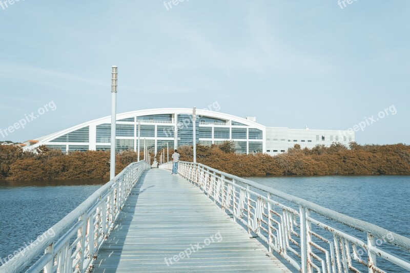 Tampico Bridge Laguna Water Wood