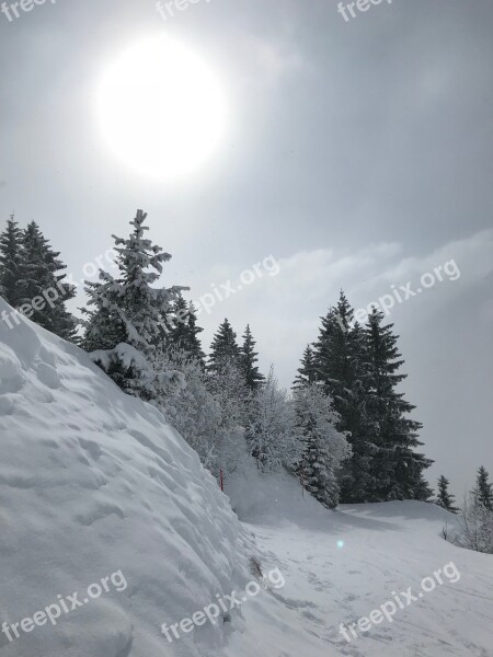 Winter Winter Hiking Trail Wintry White Landscape