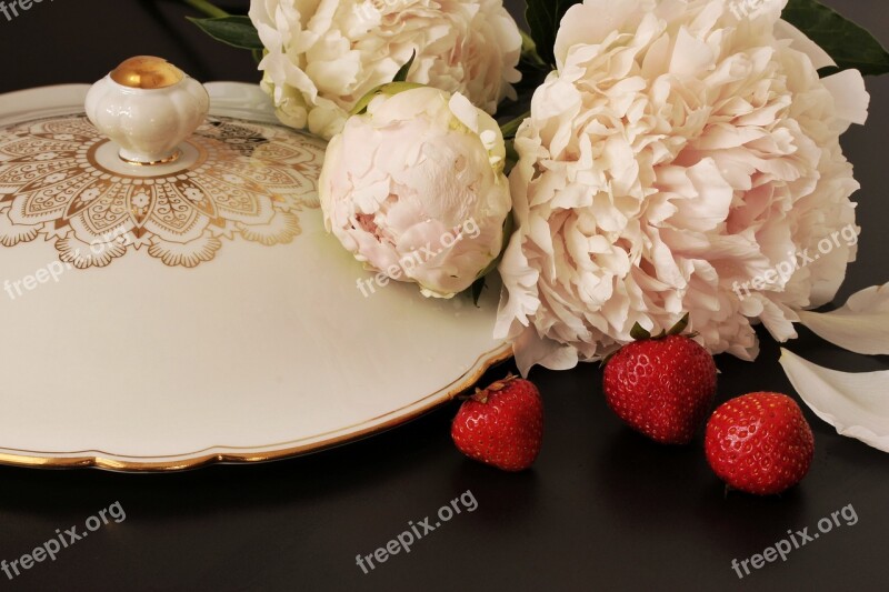 Paeony Peony Still Life Strawberries Noble