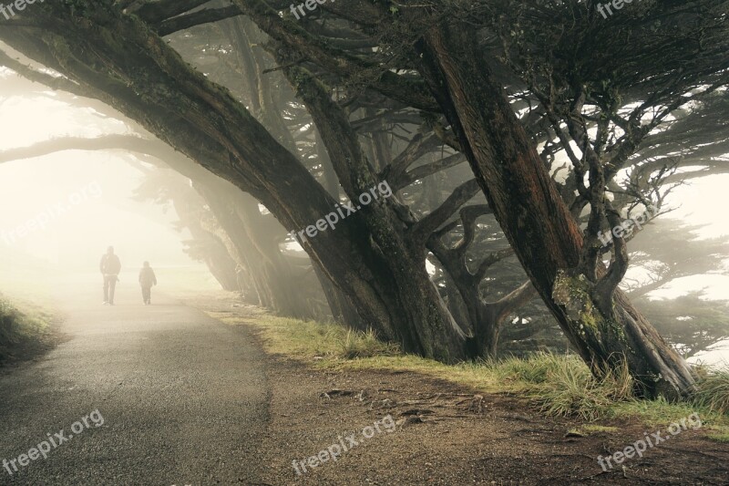 Walking Father Son Through The Fog Foggy Point Reyes