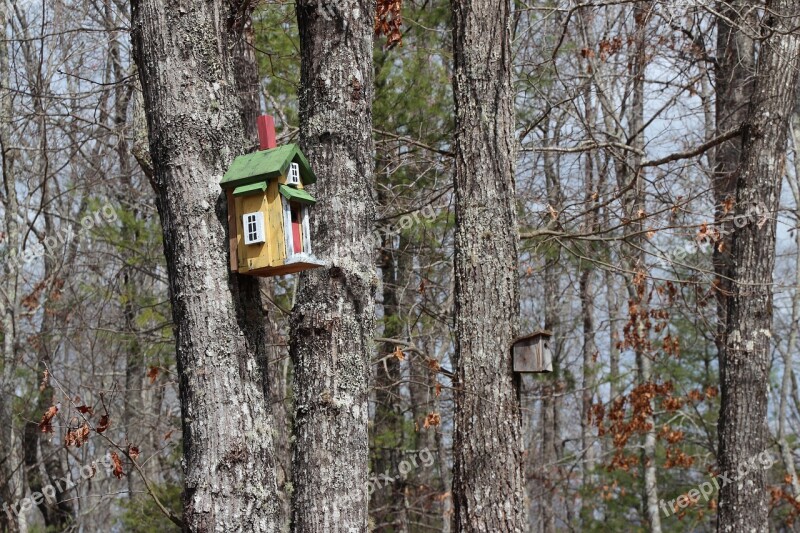 Trees Birdhouse Forest Free Photos