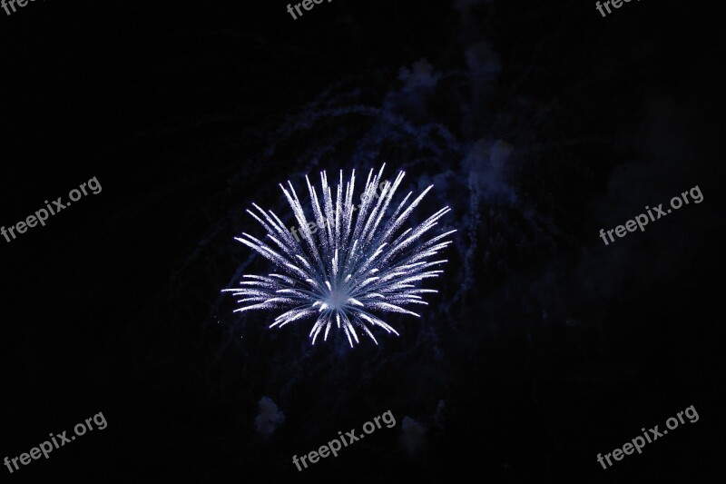 Fireworks Firework Blue Sky Night