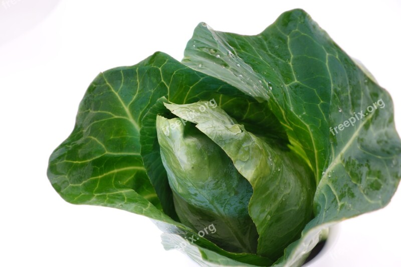 Pointed Cabbage Kohl Food Vegetables Green