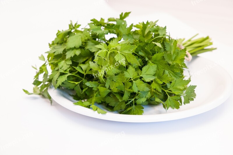 Parsley Healthy Green Food Culinary Herbs