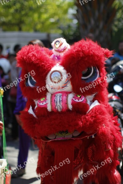 Liong Dragon Culture Chinnese Animal