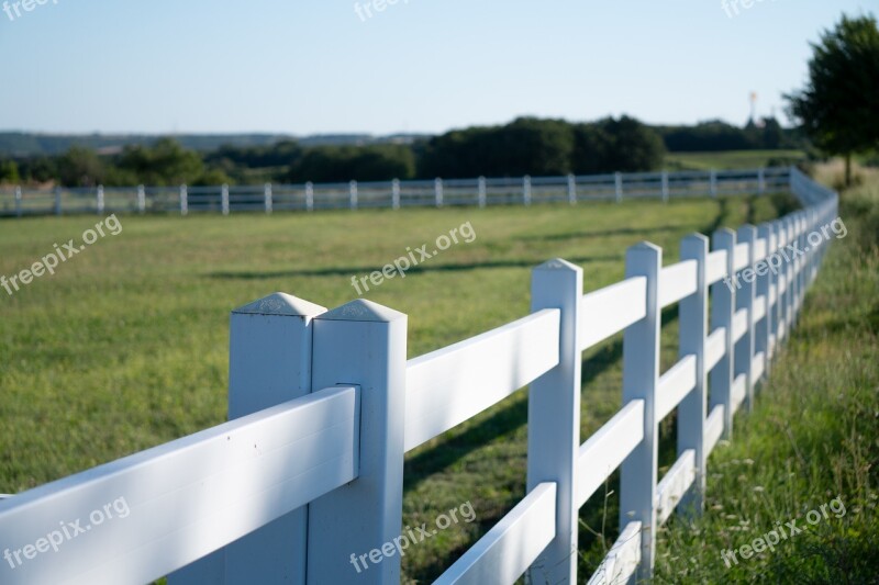 Horse Farm Grassland Nature Green Farm