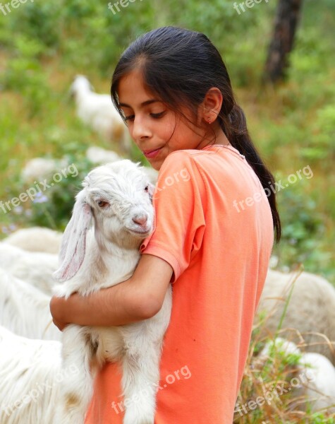 Child Goat Hug Holding Meadow