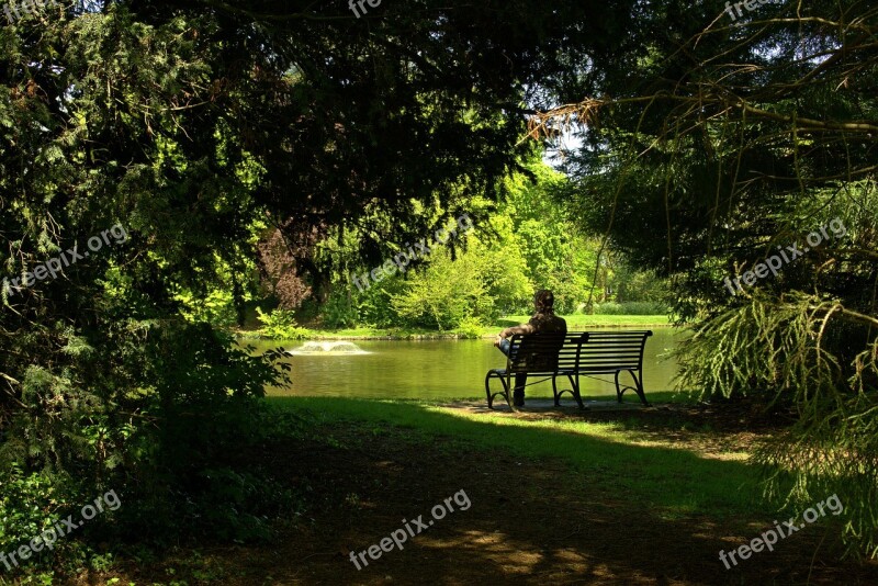 Park On The Lake Green On The Bench Holiday