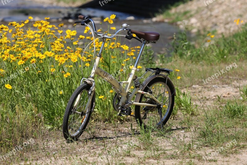 Bike Flower Road Nature Beautiful Flowers