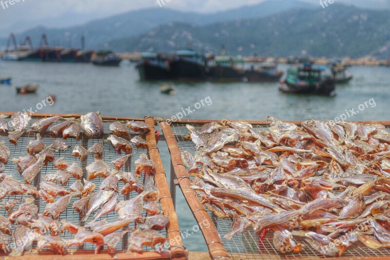 Hong Kong Long Island Fishing Village Honest Free Photos