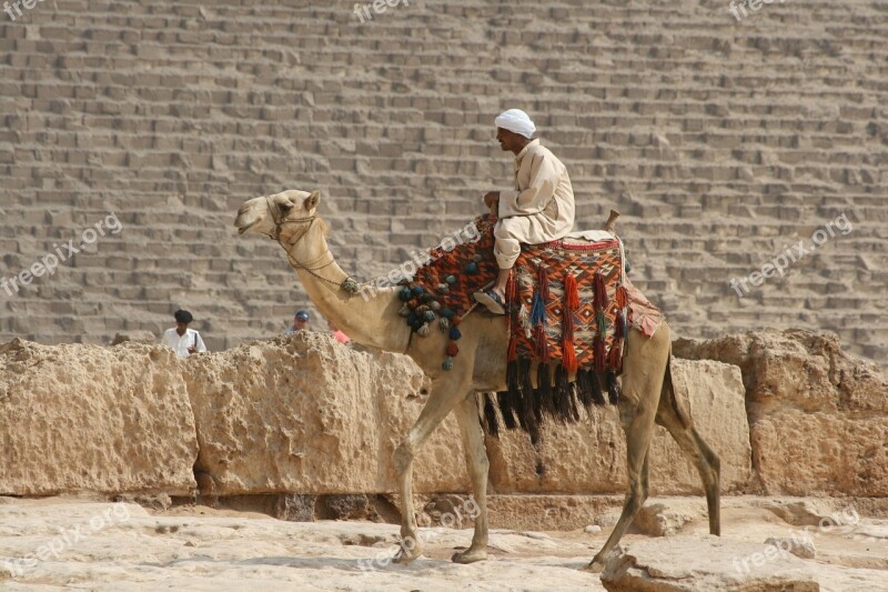 Desert Ship Camel Egypt Free Photos