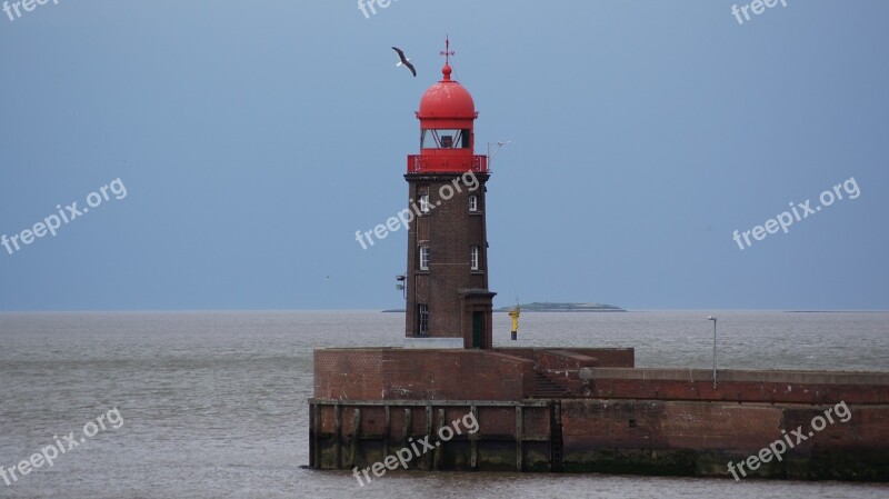 Lighthouse Seagull Bird North Sea Sky