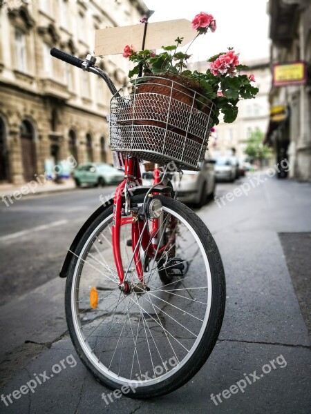 Wheel Motorcycle Street City Urban Areas