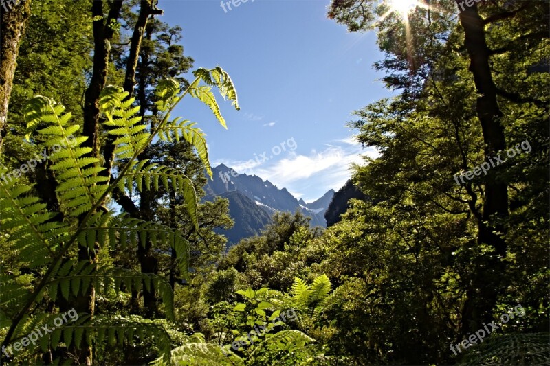 Mountains Mountain Forest Nature Landscape