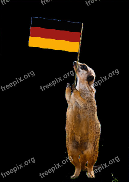 Flag Germany Meerkat Exemption Isolated