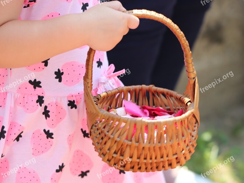 Corpus Christi Feast Girl Throwing Rose Petals Procession Tradition Holiday