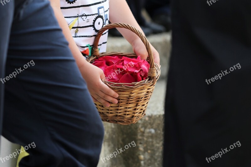 Boy Basket With Red Rose Petals Corpus Christi Feast Procession Tradition