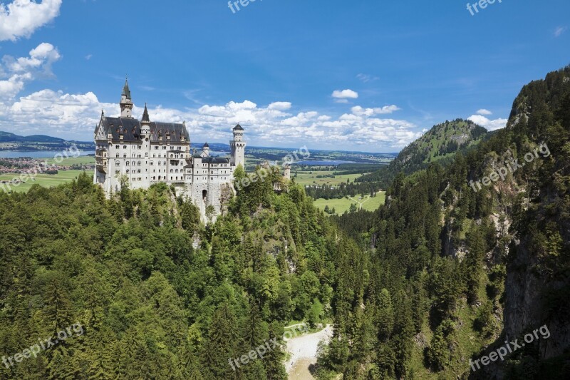 Bavaria Schwangau Neuschwanstein Castle Mountain Forest