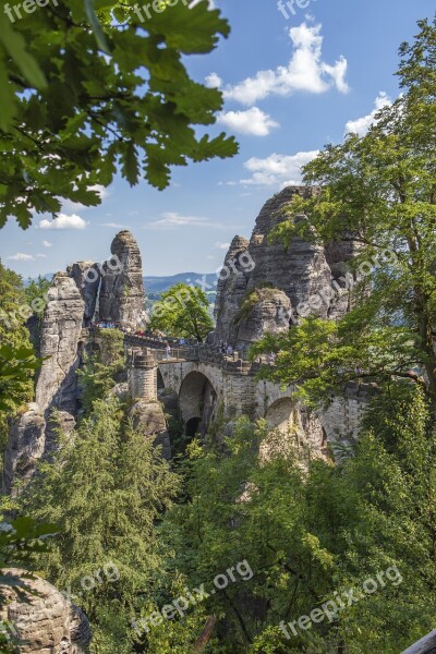 Saxon Switzerland Saxony-anhalt Elbe Sandstone Mountains Bridge Trees