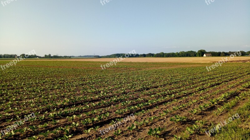 Landscape Agricultural Land Free Photos