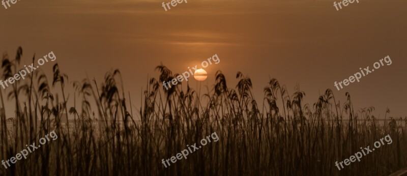 Sunrise Spring Lake Moor Summer Morning