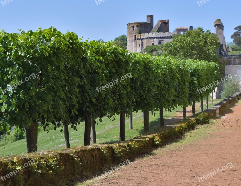 Tree Castle Allee Garden Muret