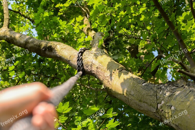 Climbing Rope Tree Hand Climb