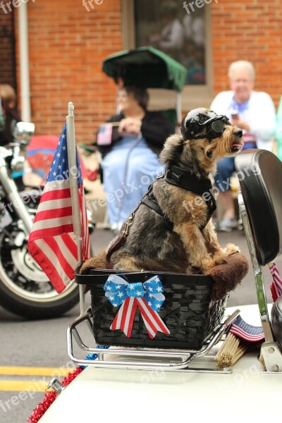 Dog Parade Patriotic Motorcycle Celebration