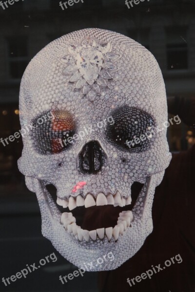 Swarovski Skull Skeleton Jewel Precious