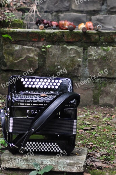 Harmonica Gaucho Barbecue Free Photos