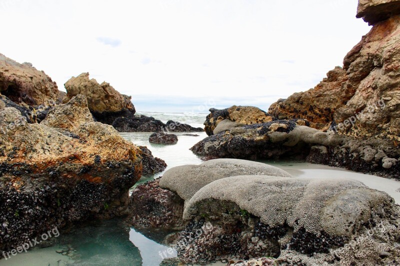 Rocks Coral Ocean Sea Water