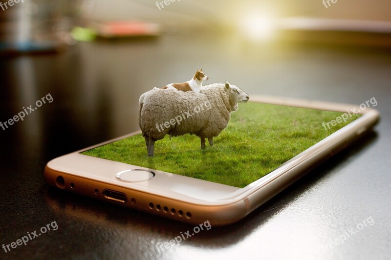 Sheep Manipulation Grass Dog Mobile