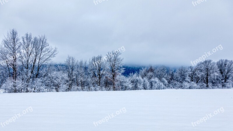 Frost Winter Snow Cold Nature