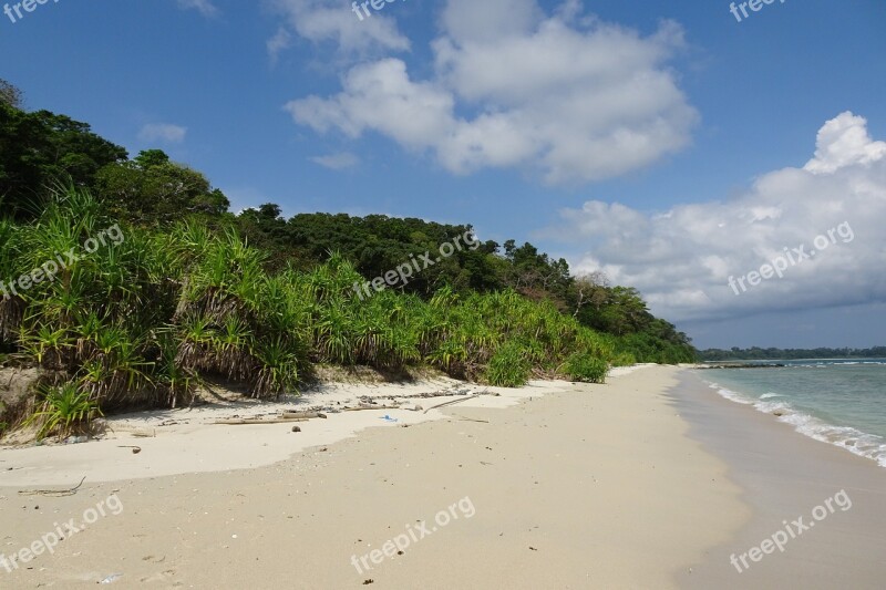 Beach Bay Vegetation Littoral Sea