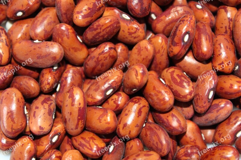 Beans Red Nutrition Delicious Background