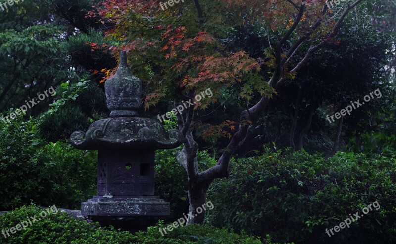 Japan Landscape Autumnal Leaves Green Natural