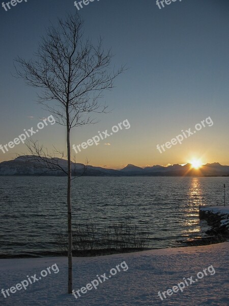 Winter Sunrise Birch Snow Sky