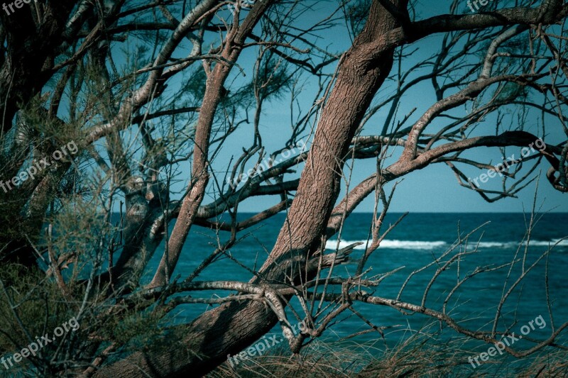 Sea Autumn Puglia Torre Guaceto Nature