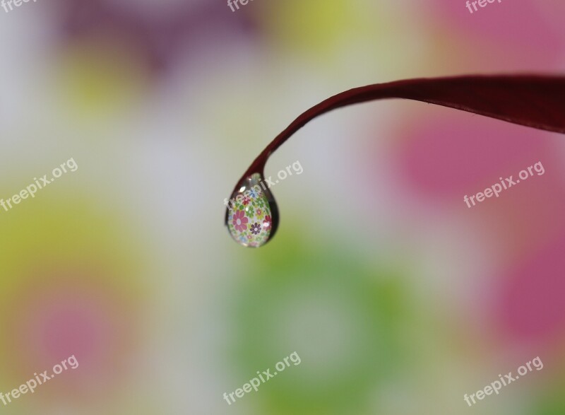 Drop Water Macro Refractive Coloring