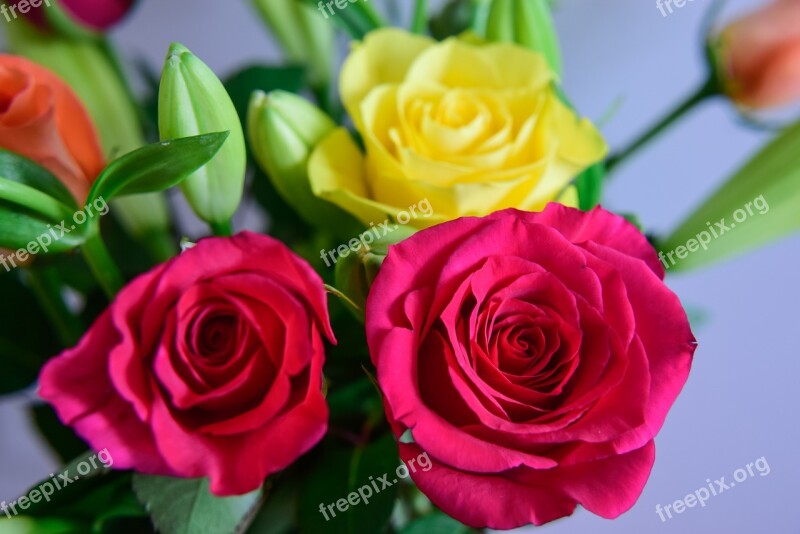 Flowers Roses Bunch Of Flowers Bouquet Free Photos