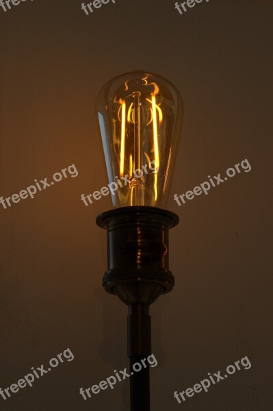 Idea Pear Light Bulb Energy Current