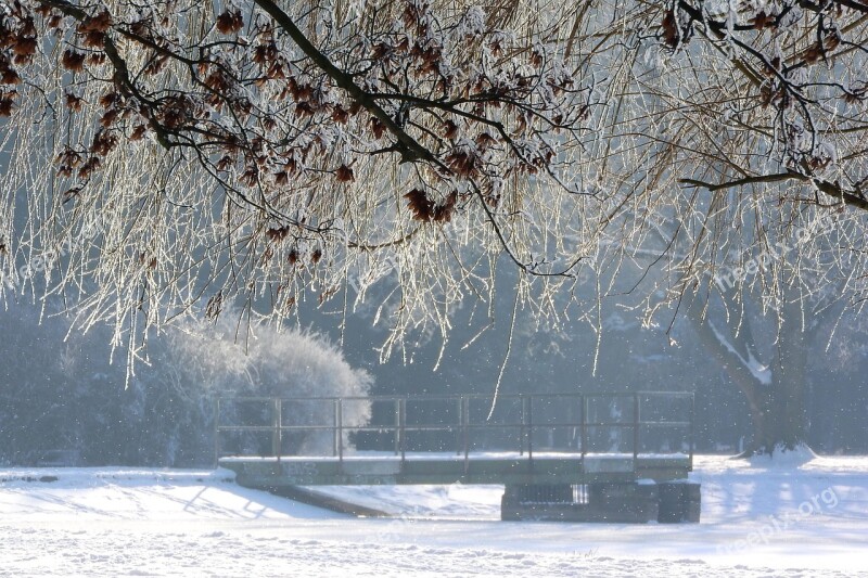 Winter Frost Park Park In Winter Nature In The Winter