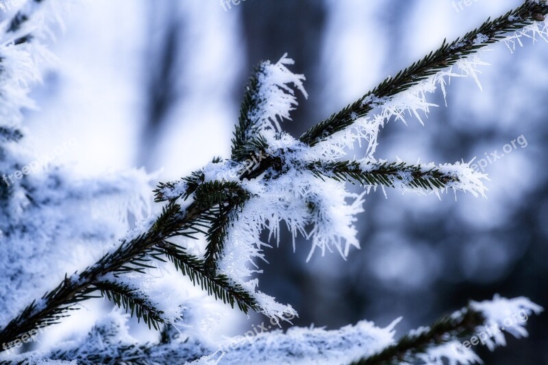 Snow Winter Cold Nature Alpine