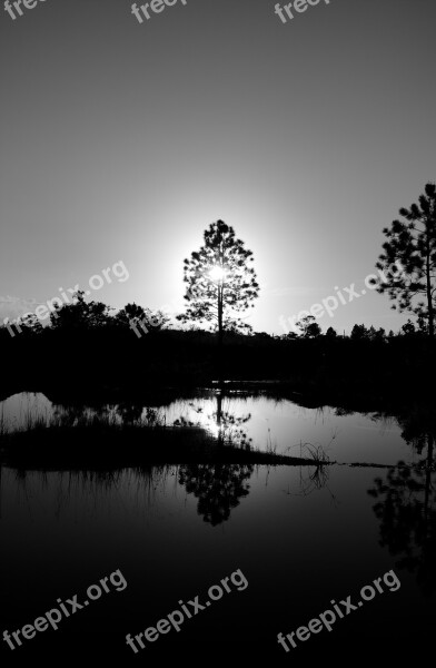 Tree Water Nature Landscape Lake