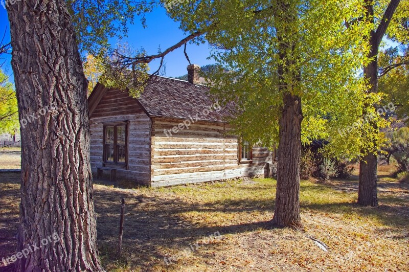 Cottonwoods And Abandoned Home Ghost Town Bannack Montana