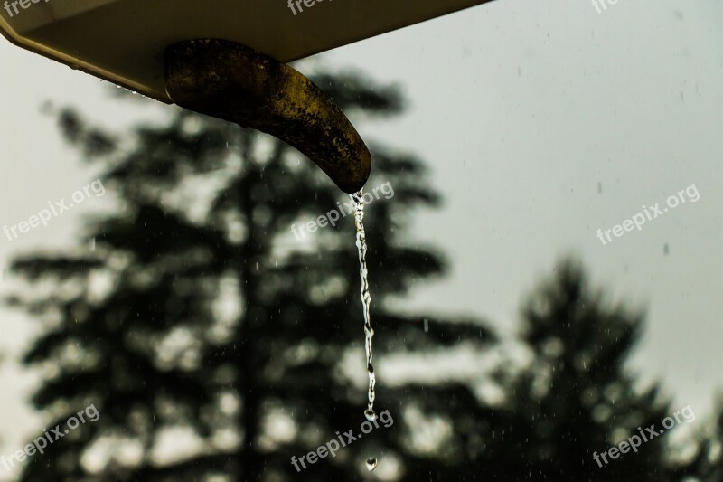 Water Rain Drip Nature Weather